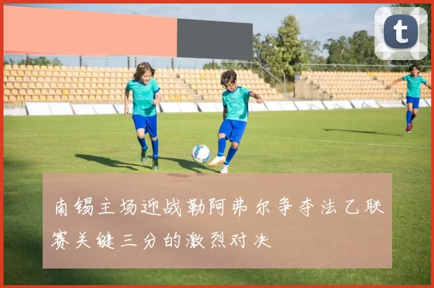 南锡主场迎战勒阿弗尔争夺法乙联赛关键三分的激烈对决