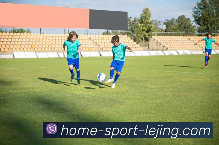 乐竞体育平台生态图